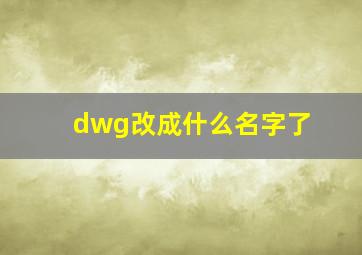 dwg改成什么名字了