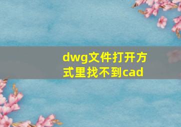 dwg文件打开方式里找不到cad