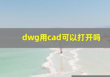 dwg用cad可以打开吗