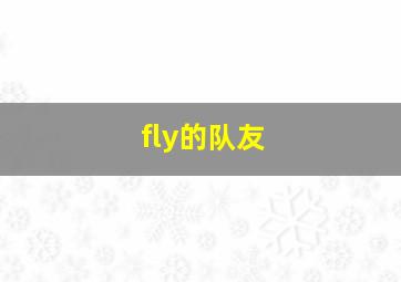 fly的队友