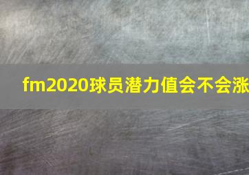 fm2020球员潜力值会不会涨