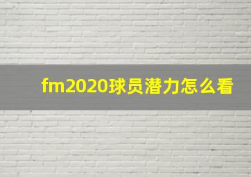 fm2020球员潜力怎么看