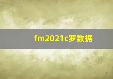 fm2021c罗数据