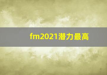 fm2021潜力最高