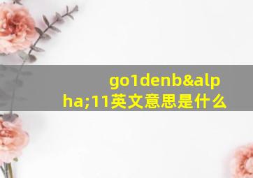 go1denbα11英文意思是什么