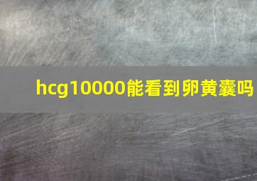 hcg10000能看到卵黄囊吗