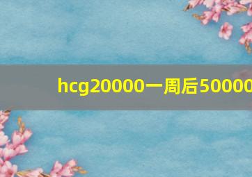 hcg20000一周后50000