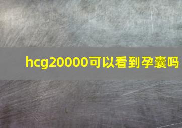 hcg20000可以看到孕囊吗