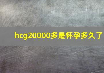 hcg20000多是怀孕多久了