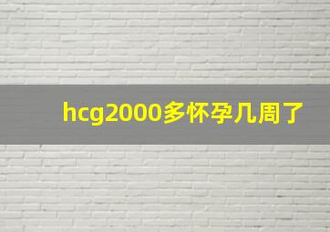 hcg2000多怀孕几周了