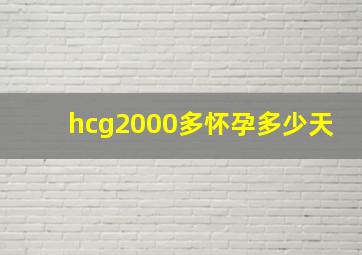 hcg2000多怀孕多少天