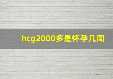 hcg2000多是怀孕几周