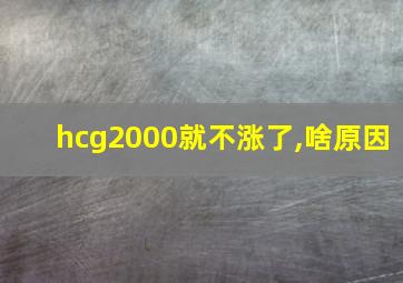 hcg2000就不涨了,啥原因