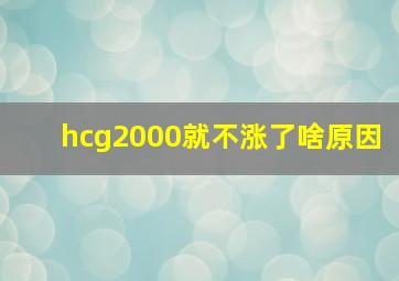 hcg2000就不涨了啥原因