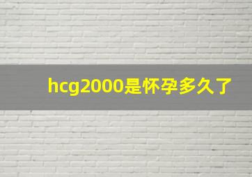 hcg2000是怀孕多久了