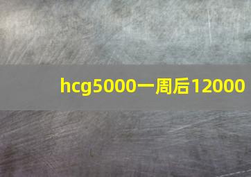 hcg5000一周后12000