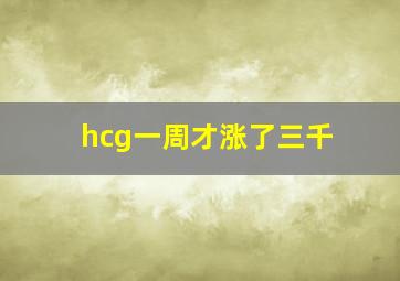 hcg一周才涨了三千