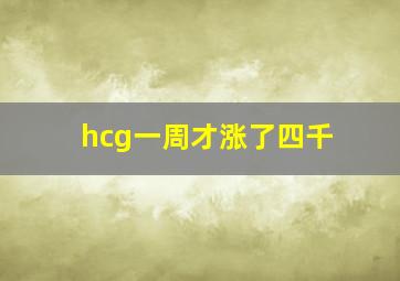 hcg一周才涨了四千