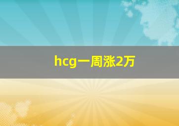 hcg一周涨2万