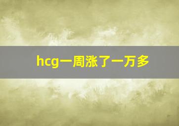 hcg一周涨了一万多