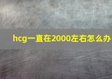 hcg一直在2000左右怎么办