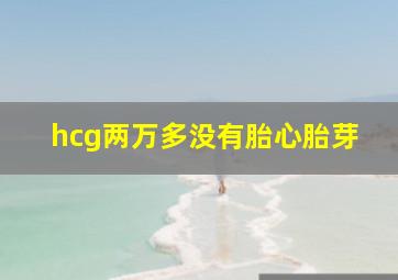 hcg两万多没有胎心胎芽