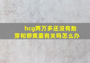 hcg两万多还没有胎芽和卵黄囊有关吗怎么办