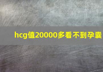 hcg值20000多看不到孕囊