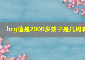 hcg值是2000多孩子是几周啊