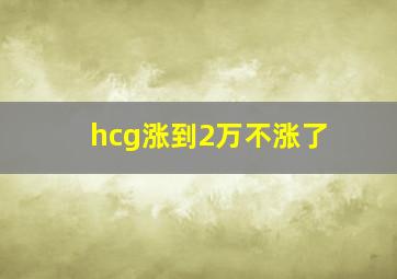 hcg涨到2万不涨了