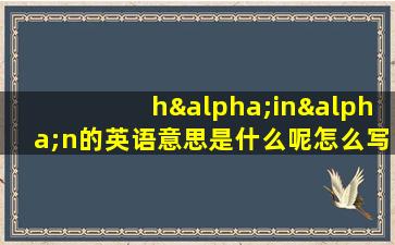 hαinαn的英语意思是什么呢怎么写