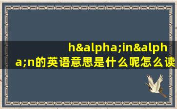 hαinαn的英语意思是什么呢怎么读