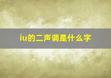 iu的二声调是什么字