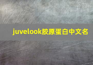 juvelook胶原蛋白中文名