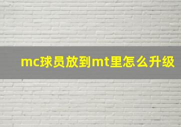 mc球员放到mt里怎么升级