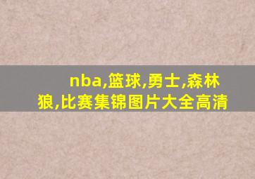 nba,篮球,勇士,森林狼,比赛集锦图片大全高清