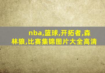 nba,篮球,开拓者,森林狼,比赛集锦图片大全高清