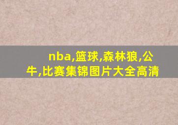 nba,篮球,森林狼,公牛,比赛集锦图片大全高清