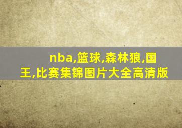 nba,篮球,森林狼,国王,比赛集锦图片大全高清版