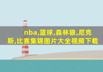 nba,篮球,森林狼,尼克斯,比赛集锦图片大全视频下载