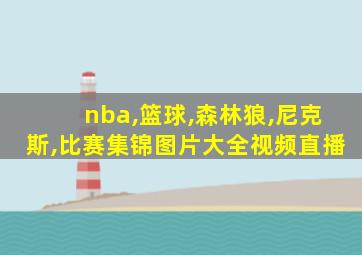 nba,篮球,森林狼,尼克斯,比赛集锦图片大全视频直播