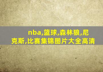 nba,篮球,森林狼,尼克斯,比赛集锦图片大全高清