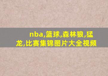 nba,篮球,森林狼,猛龙,比赛集锦图片大全视频