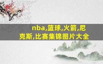 nba,篮球,火箭,尼克斯,比赛集锦图片大全