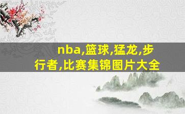 nba,篮球,猛龙,步行者,比赛集锦图片大全