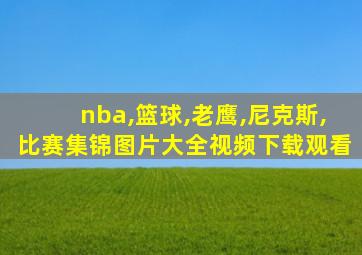 nba,篮球,老鹰,尼克斯,比赛集锦图片大全视频下载观看