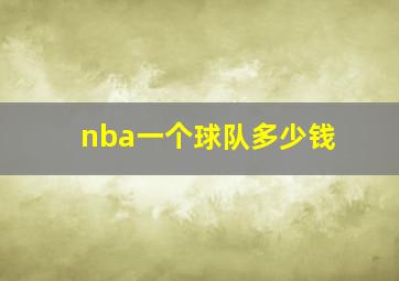 nba一个球队多少钱