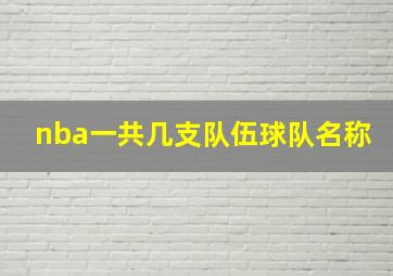 nba一共几支队伍球队名称