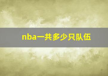 nba一共多少只队伍