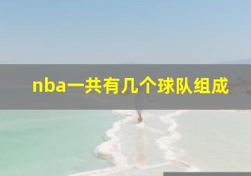 nba一共有几个球队组成